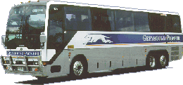 Greyhound Pioneer Australia bus, click for Greyhound Pioneer Australia Homepage