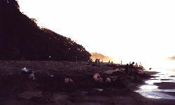 Hot Water Beach, Coromandel Peninsula (click for enlargement)